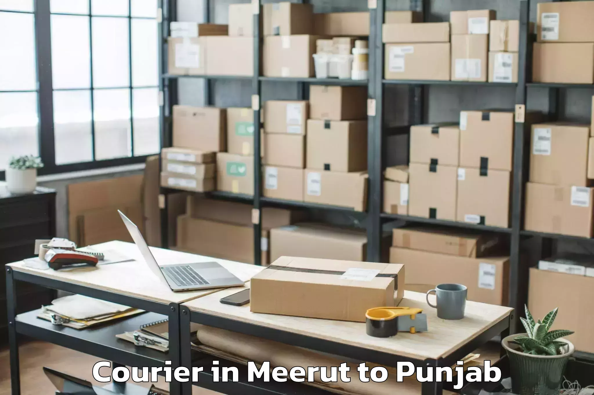 Professional Meerut to Batala Courier